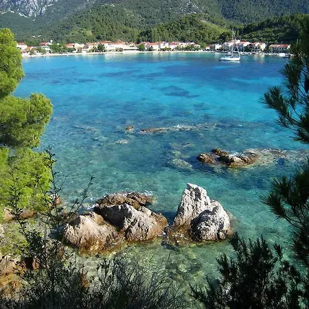 Leonida